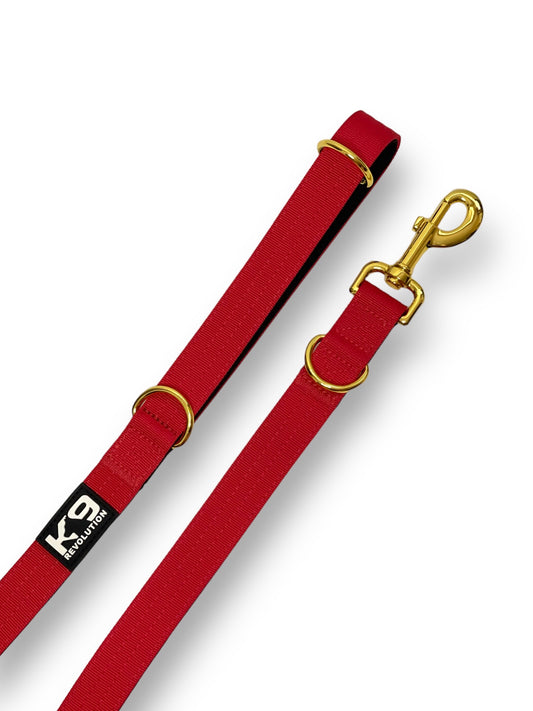 Standard Clip Leash