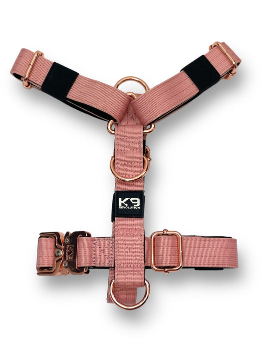 2.5cm Harness - Utility Buckle