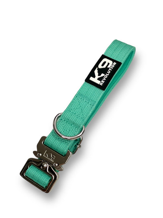 2.5cm Collar - Utility Buckle