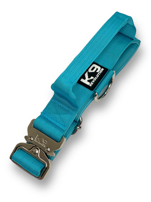 3.8cm Collar - Utility Buckle
